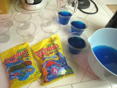 blue jello aquarium