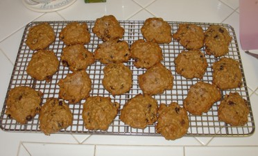 Vegan Pumpkin Oatmeal Raisin Cookies