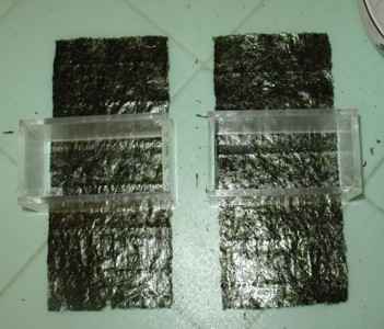 spam musubi