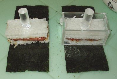 spam musubi