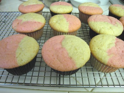 Neopolitan cupcakes