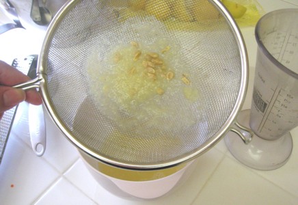 bruleedlemonbars4 bruleedlemonbars4