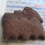 bat cookies bat cookies