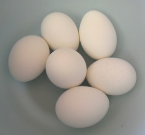 eggs