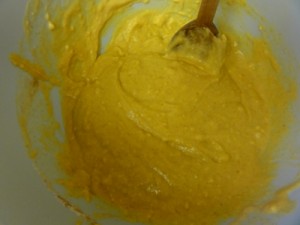 pumkin mochi mix