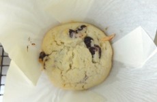 cranberry mascarpone mufffins small