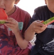 red watermelon