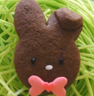 chocolate bunny cookies