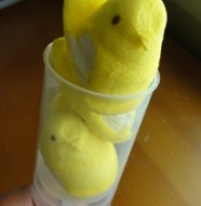 peep push pops sm