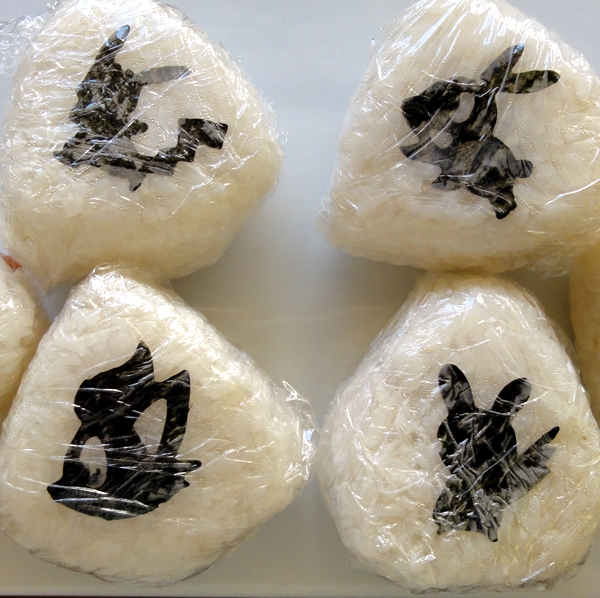 rice balls pokemon