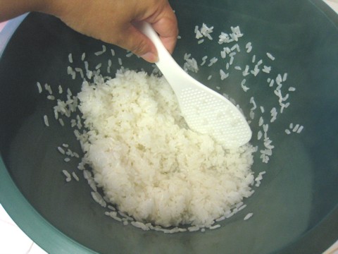 inari-rice