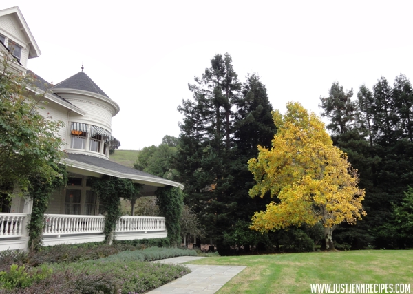 Skywalker Ranch House lawn