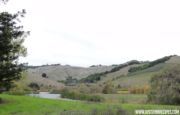 Skywalker Sound in the distance