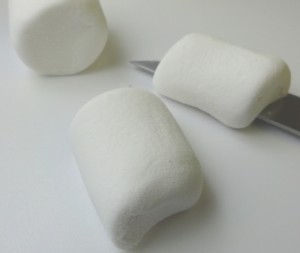 Now To Start Assembling! Cut A Marshmallow In Half And Lay Down One 