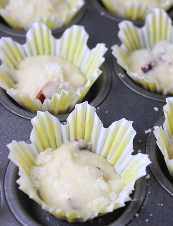 Lemon Cranberry Muffin Prep